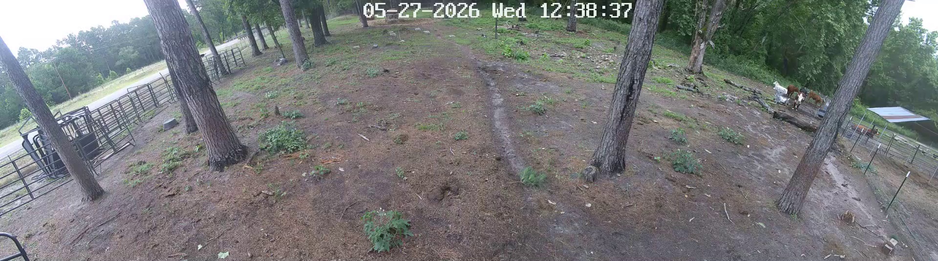 Active ranch moment 2