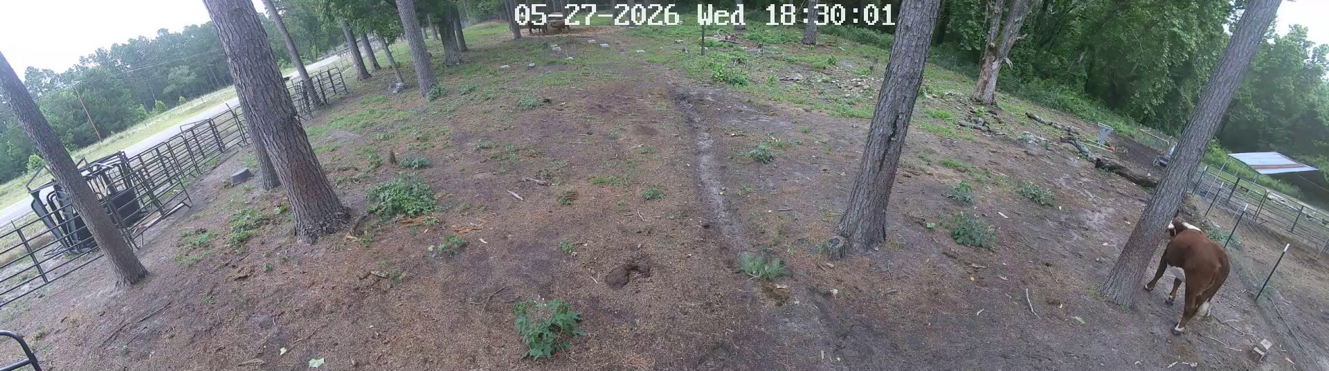 Active ranch moment 4