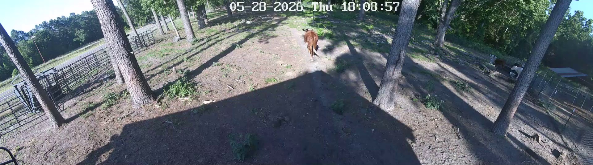 Active ranch moment 4