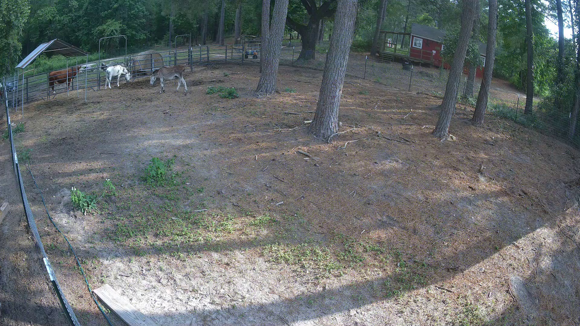 Active ranch moment 4