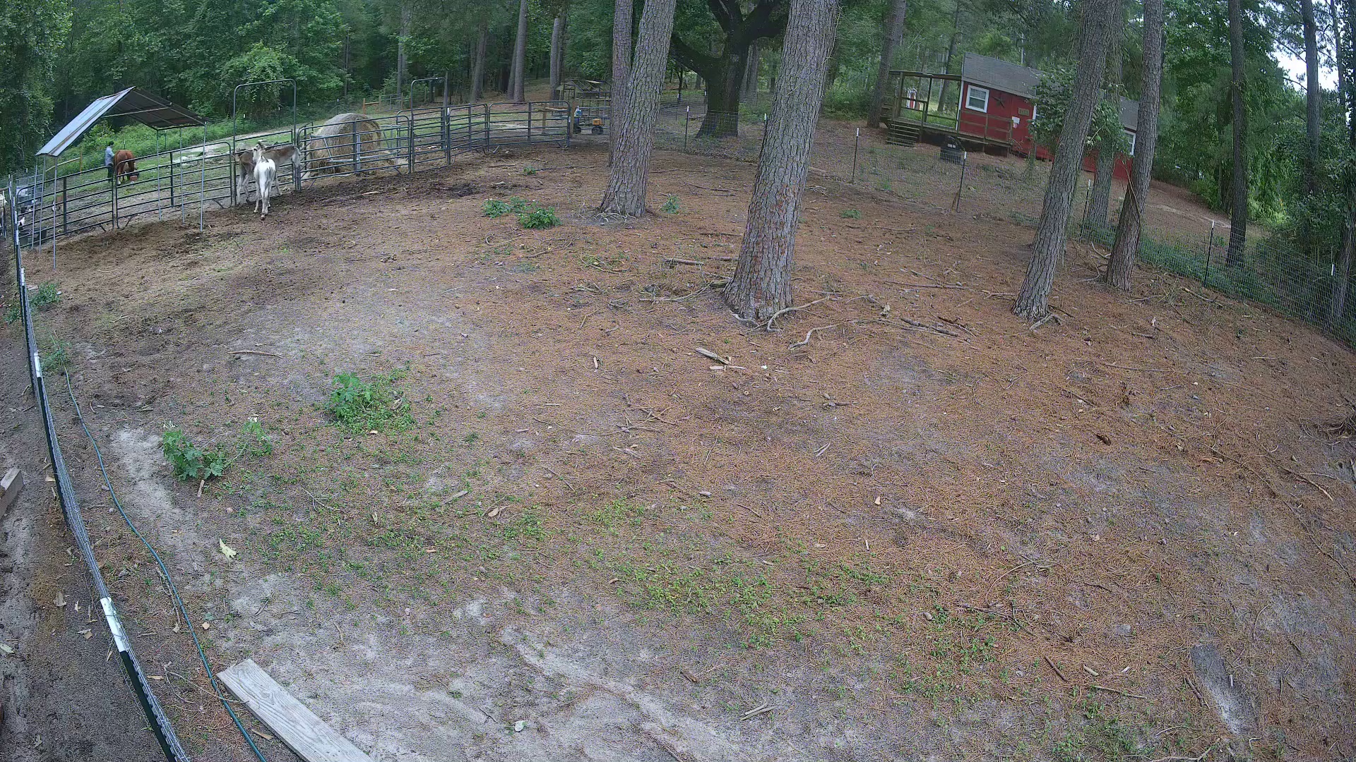 Active ranch moment 3