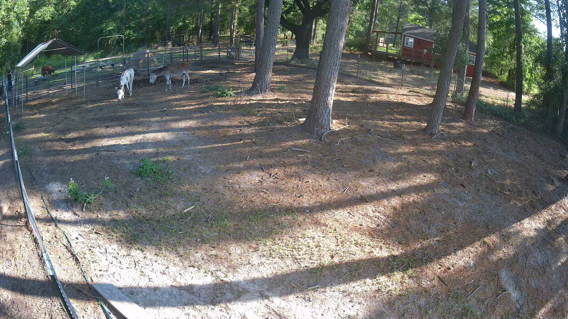 Active ranch moment 3