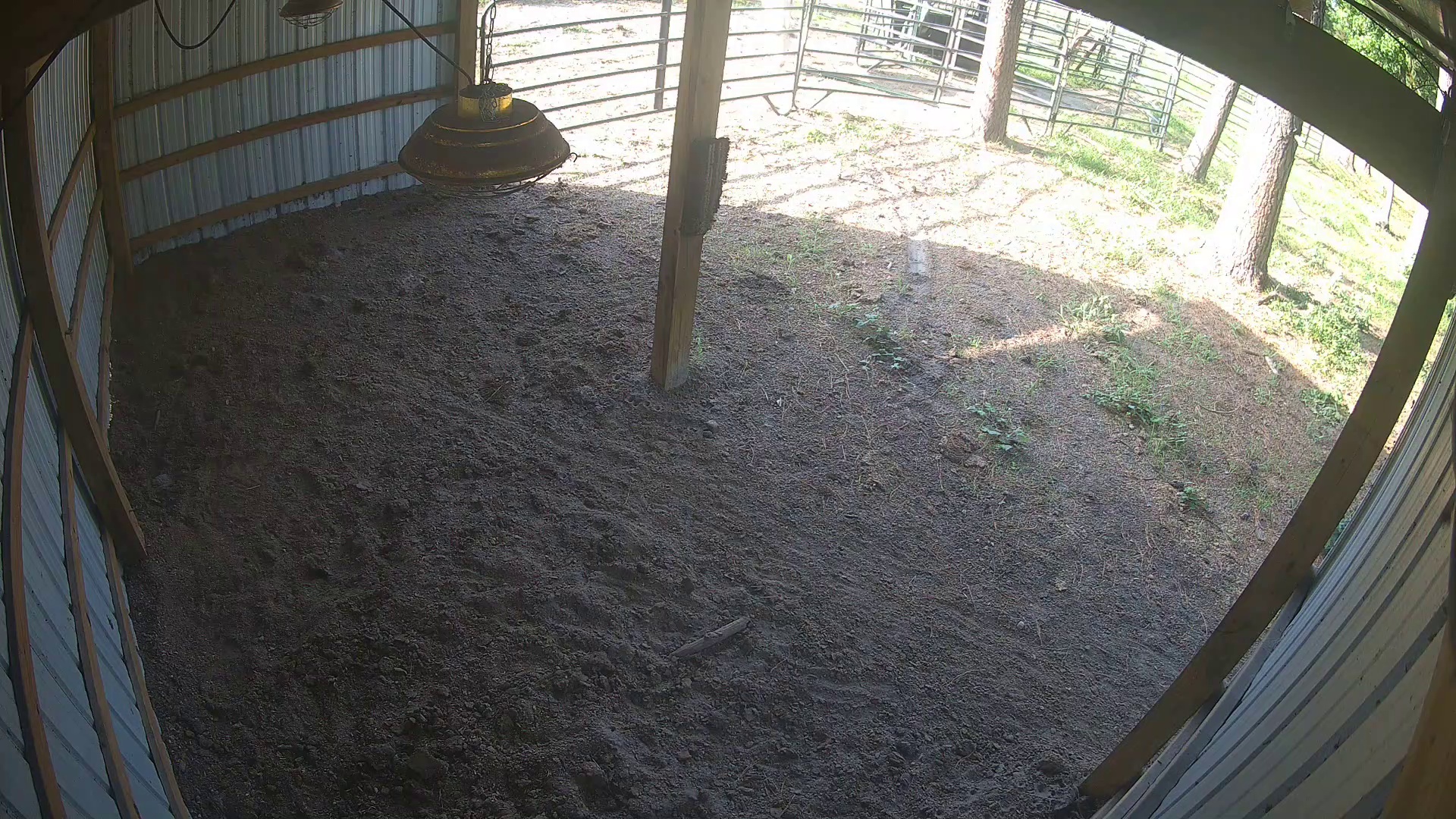 Active ranch moment 3