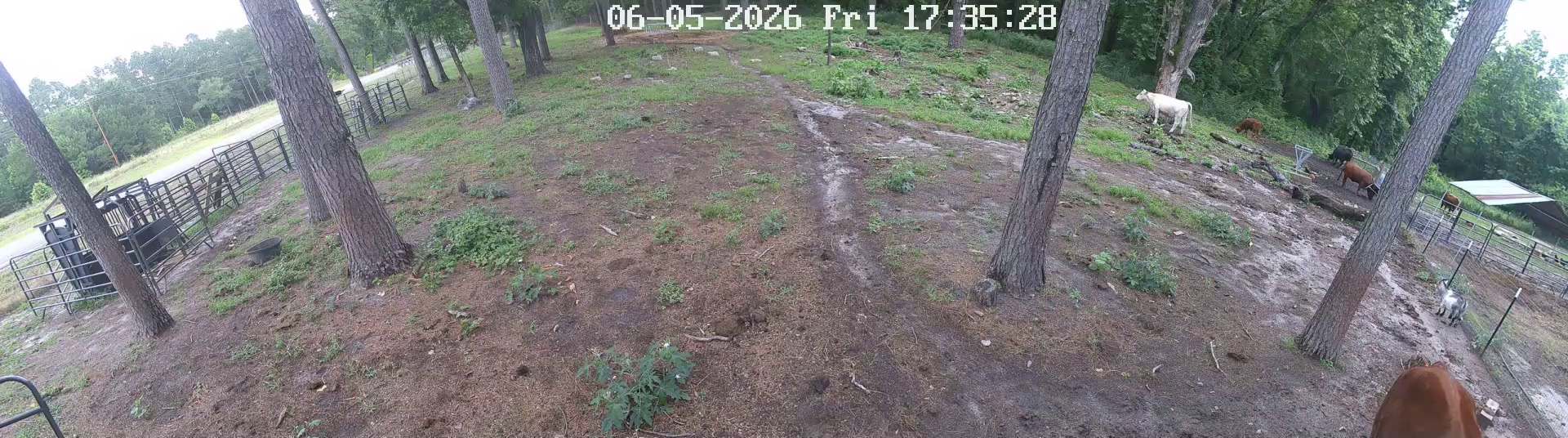 Active ranch moment 3