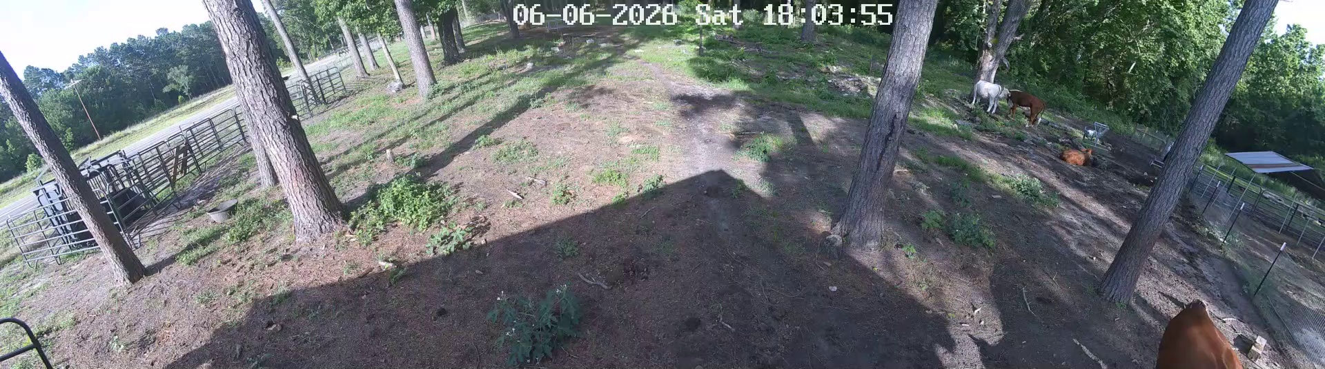 Active ranch moment 4