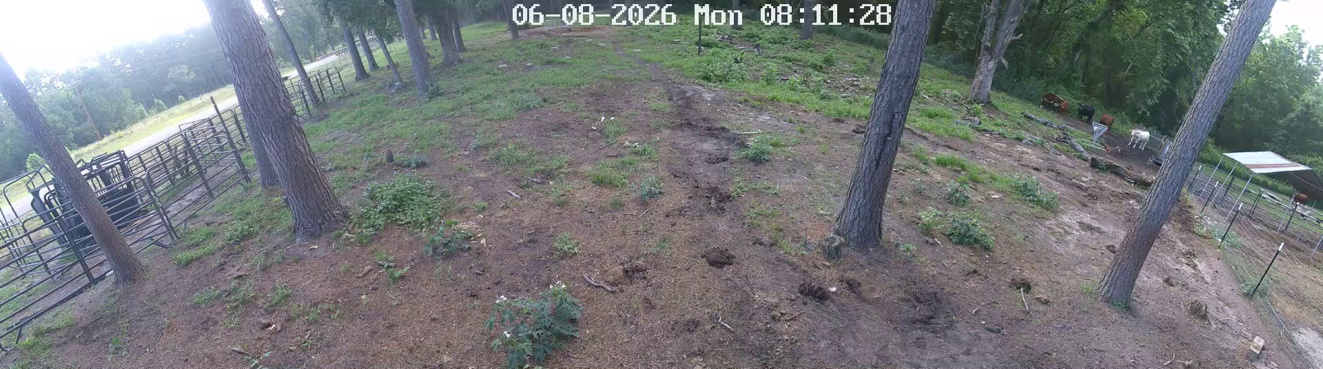 Active ranch moment 3