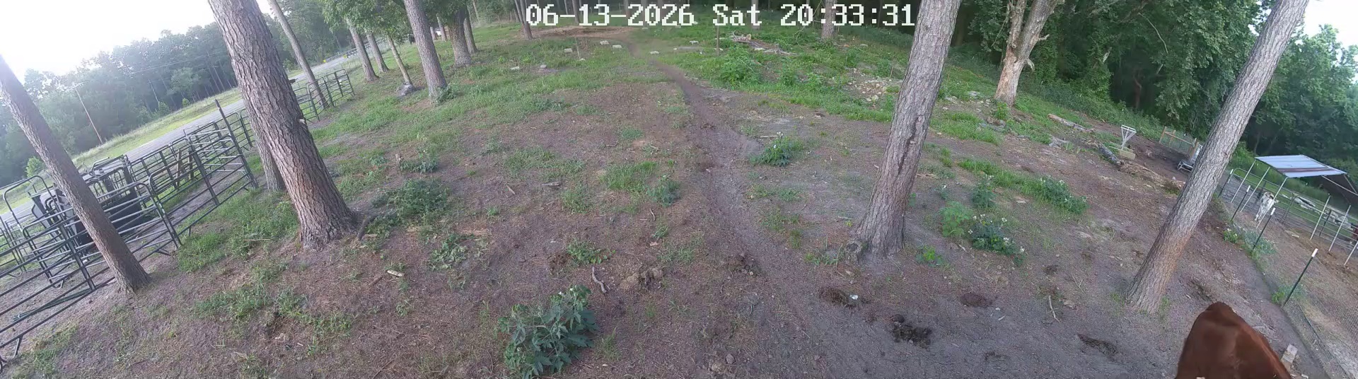 Active ranch moment 4