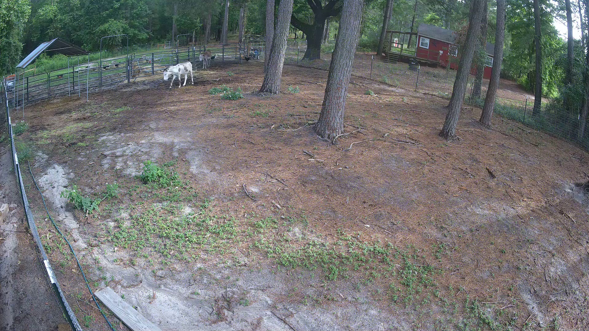 Active ranch moment 4