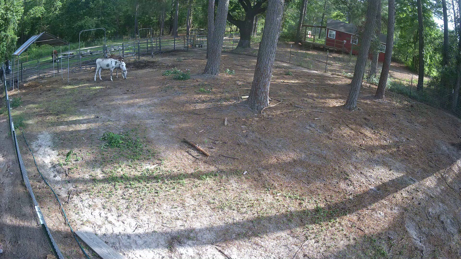 Active ranch moment 4