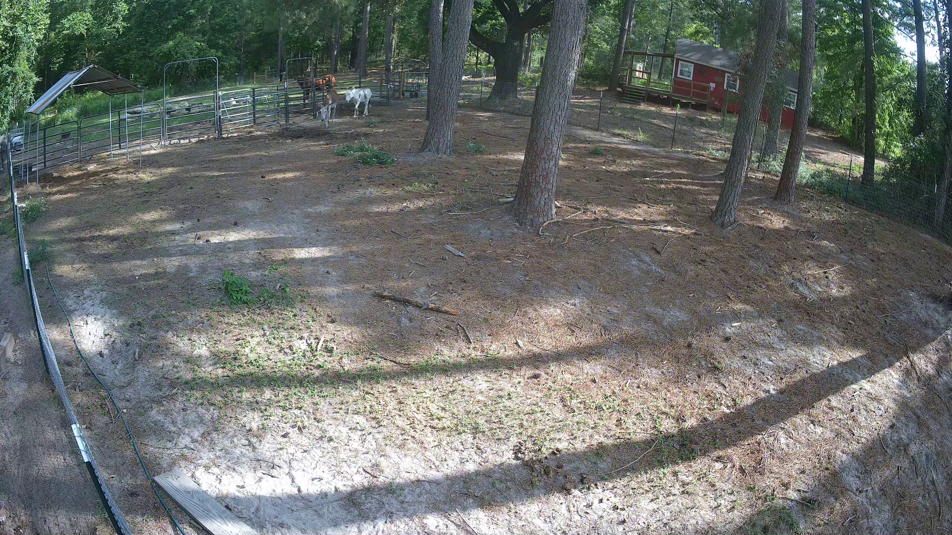 Active ranch moment 3