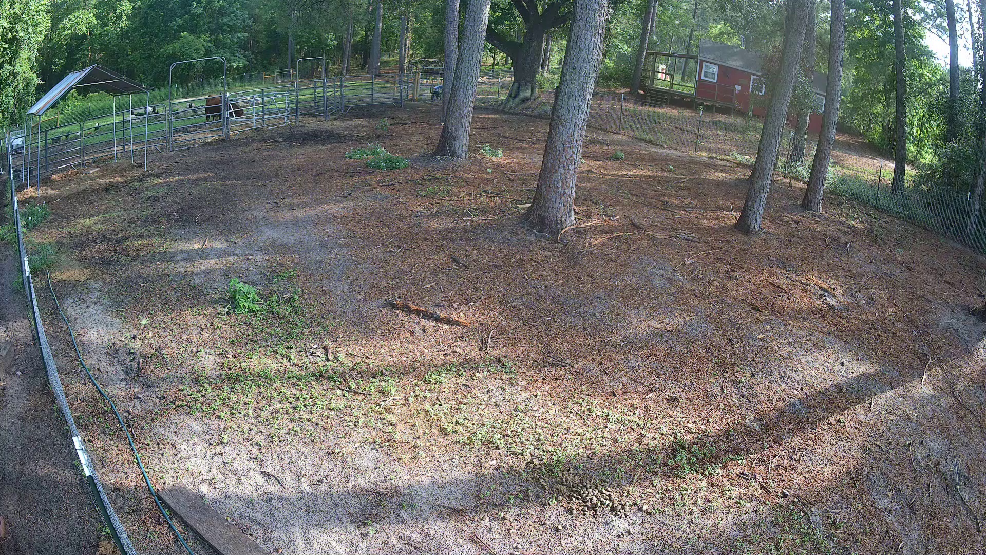 Active ranch moment 3