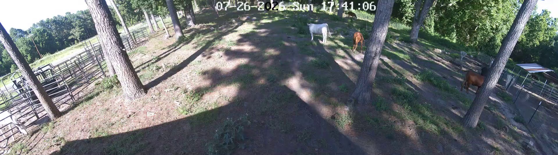 Active ranch moment 2