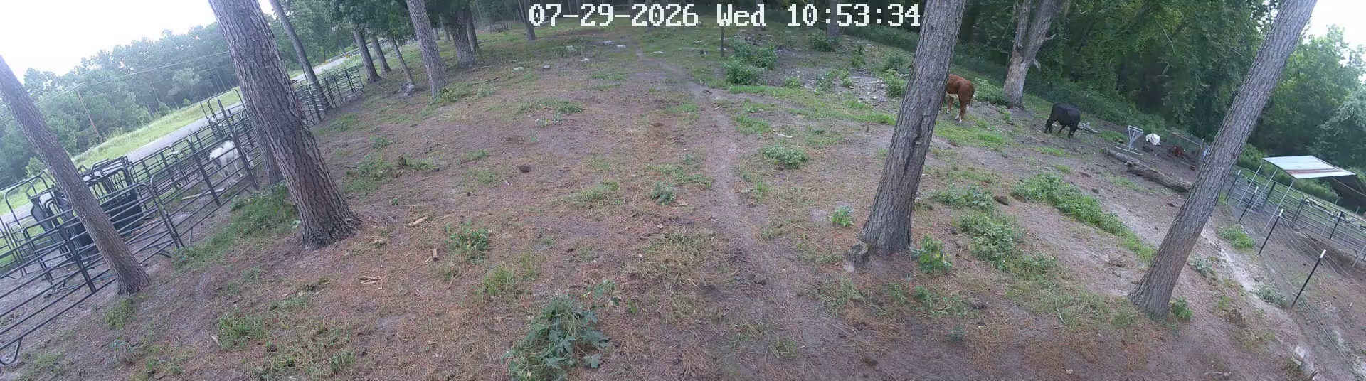 Active ranch moment 3