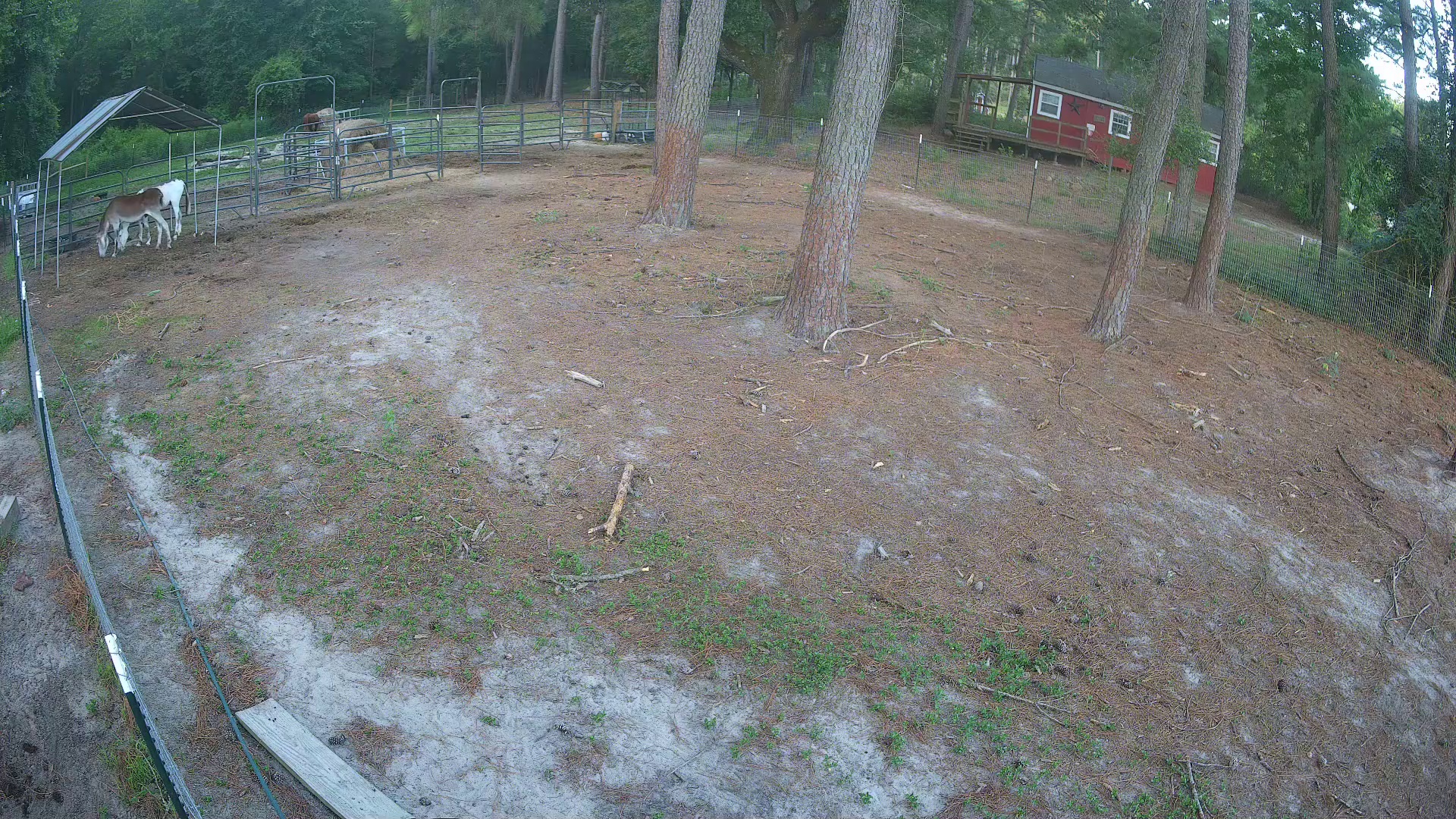 Active ranch moment 3
