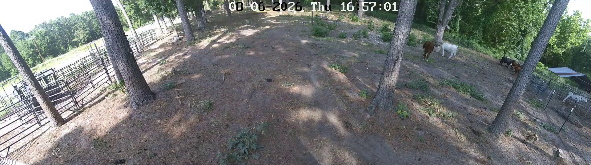 Active ranch moment 3