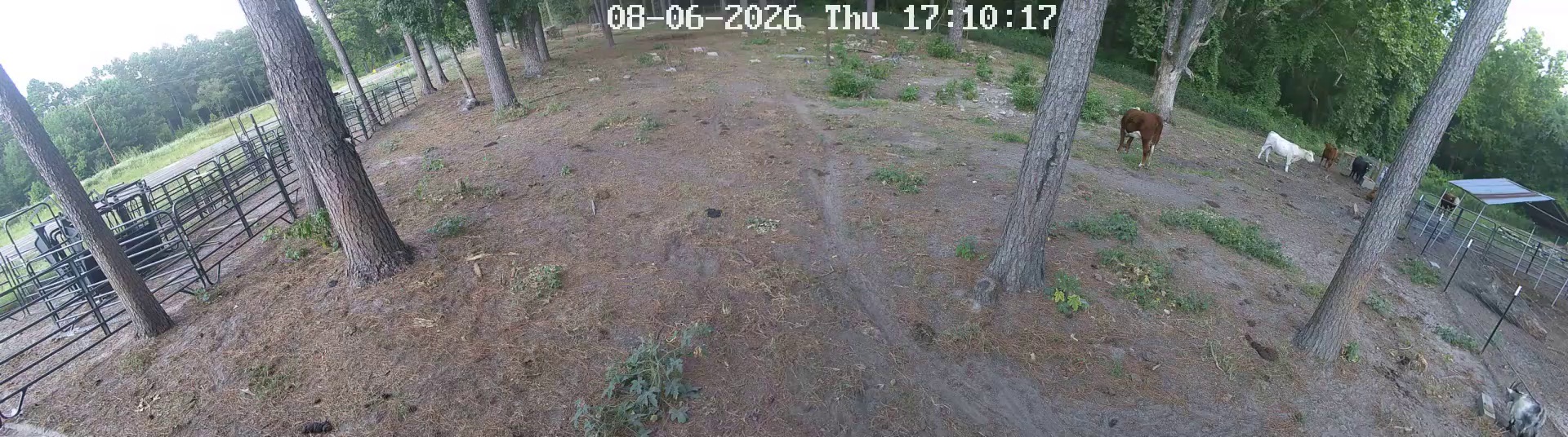 Active ranch moment 2