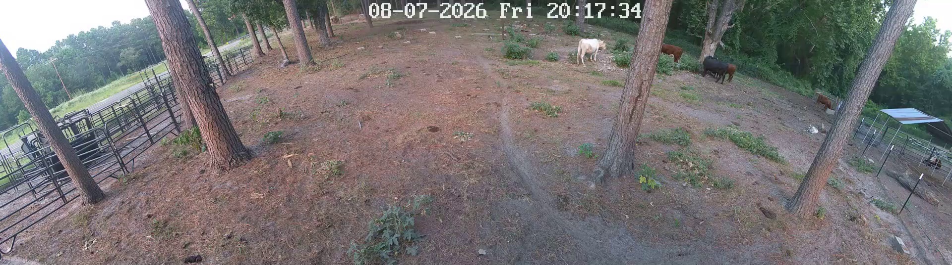 Active ranch moment 2