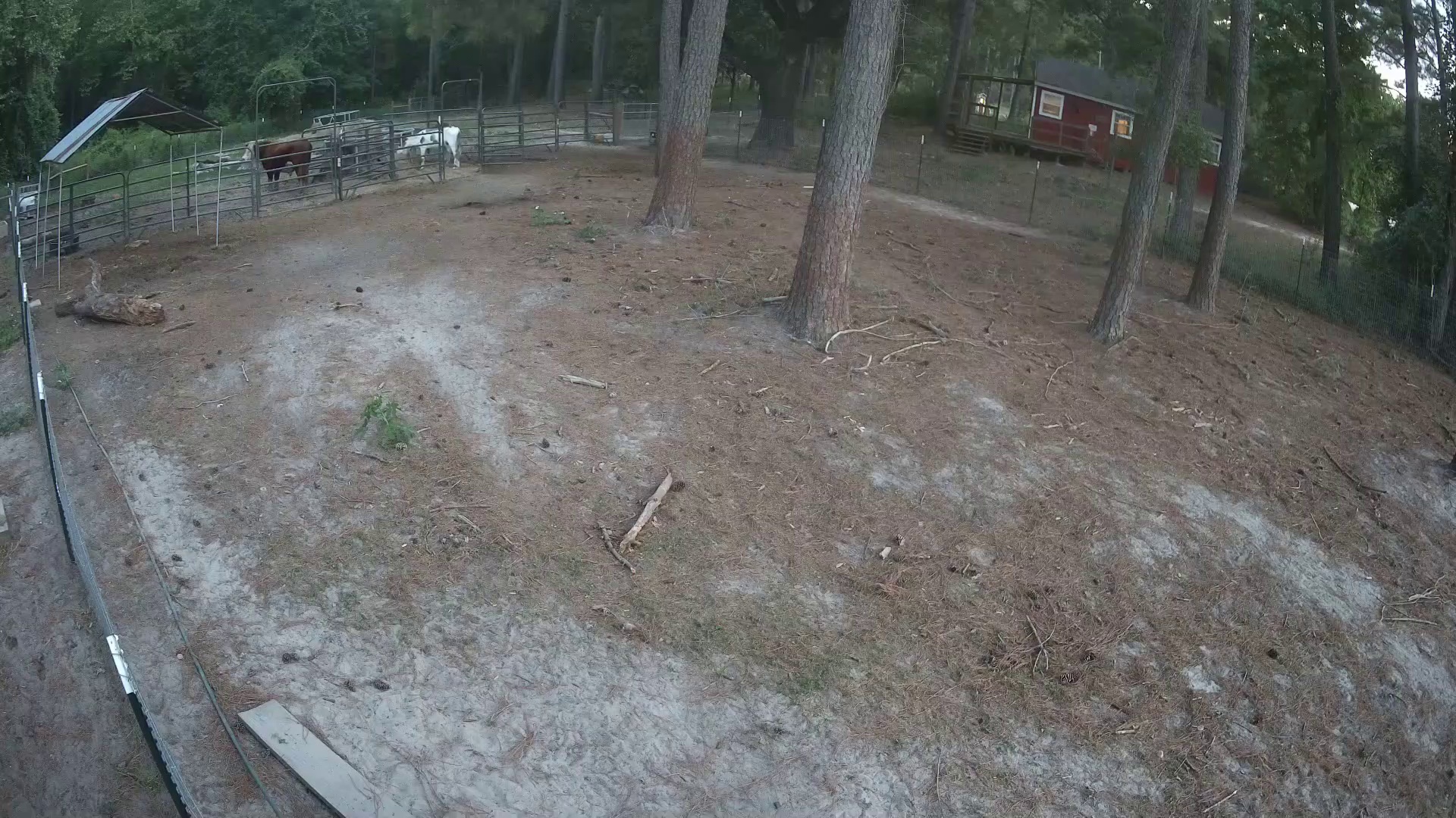 Active ranch moment 3